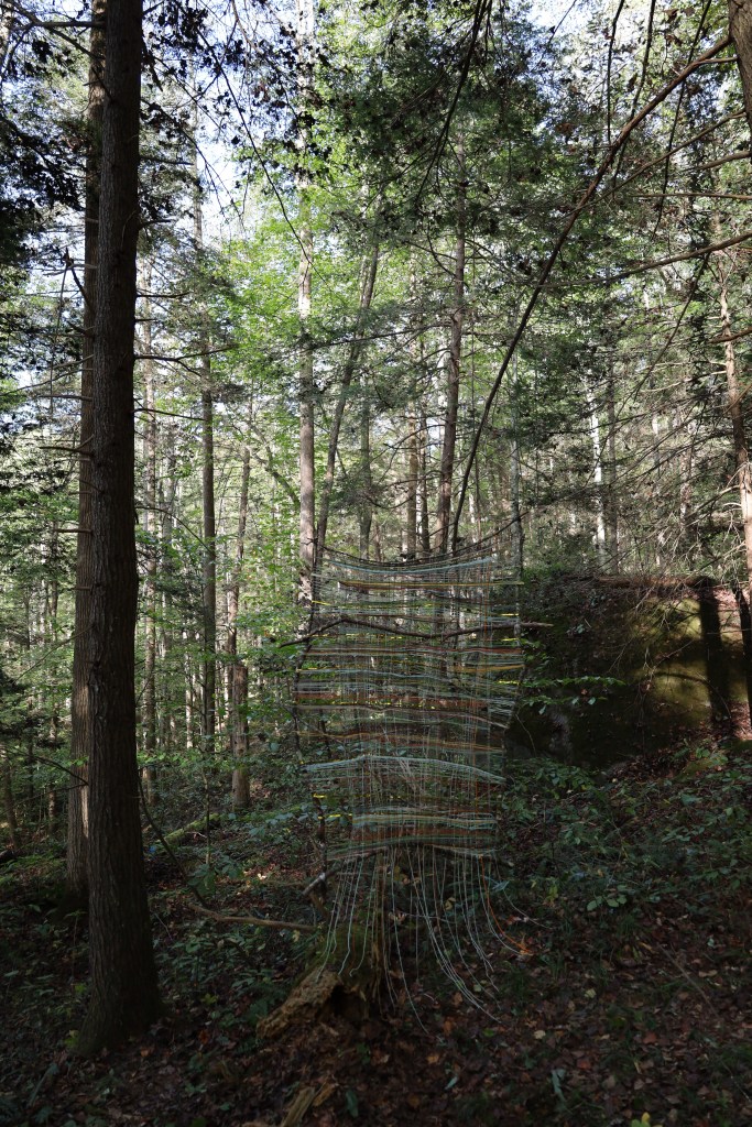 Another perspective of "Woven Together in Her Womb"